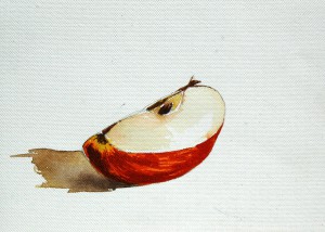 still life quater cut apple